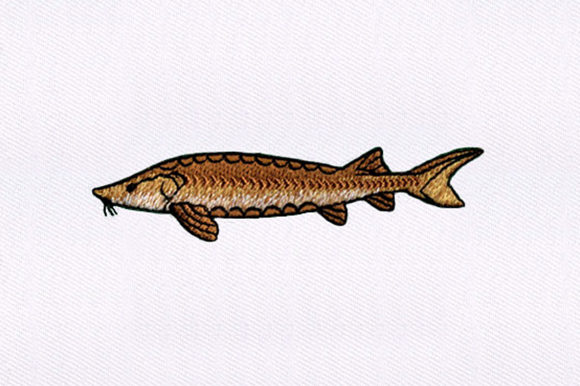 Brown Fish Design Review for Boutique Embroidery Projects